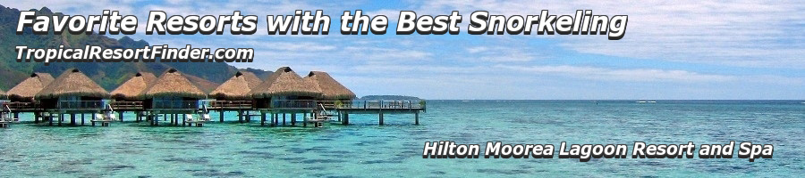 Snorkeling at Hilton Moorea Lagoon Resort and Spa