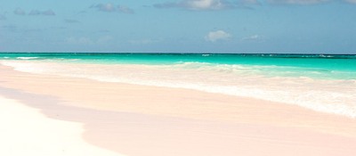 Beach at Pink Sands Resort