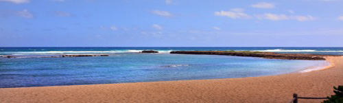 Beach at Turtle Bay
