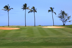 Turtle Bay Golf Course