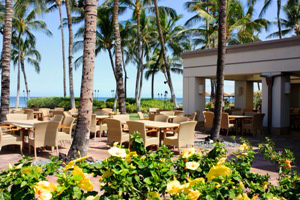 Brown's Beach House