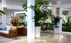 Lobby at Halekulani