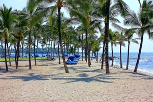 The Beach at The Mauna Lani Bay Hotel & Bungalows