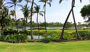 Kalahuipua'a Fishponds