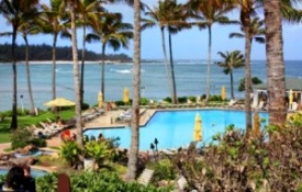 Pool at Turtle Bay