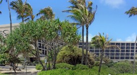 Turtle Bay Resort